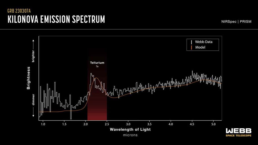 Esta presentación gráfica compara los datos espectrales de la kilonova de GRB 230307A observados por el Telescopio Espacial James Webb y un modelo de kilonova. Ambos muestran un pico distintivo en la región del espectro asociada con el telurio, con el área sombreada en rojo. La detección de telurio, que es más raro que el platino en la Tierra, marca el primer vistazo directo de Webb a un elemento pesado individual en una kilonova.