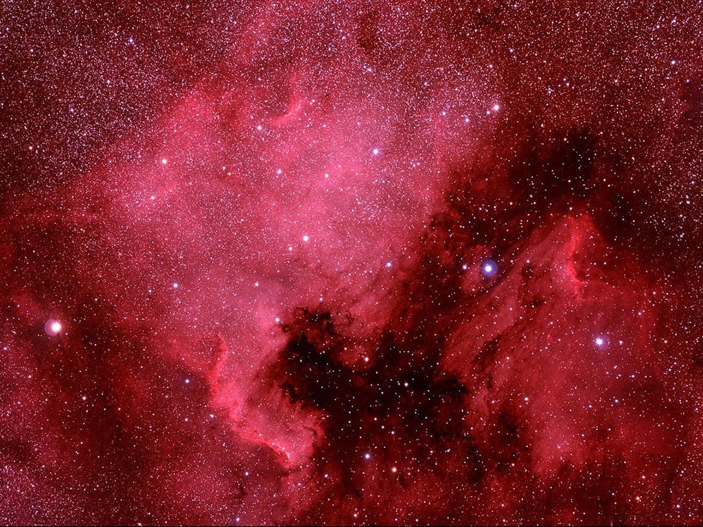 Descubiertas por William Herschel en 1786 y favoritas de los astrofotógrafos, la enorme nebulosa de Norteamerica (NGC 7000, izquierda) y la más pequeña y tenue nebulosa del Pelícano (IC 5067/5070, derecha) en la constelación del Cisne se encuentran respectivamente a 1.600 y 4.000 años luz de distancia. El intrincado borde este de México y América Central se conoce como el Muro del Cisne, una región de gas caliente, polvo y estrellas jóvenes. Obviamente, el Golfo de México no es un golfo real, y tampoco es "un agujero en el cielo": es nebulosa oscura.
