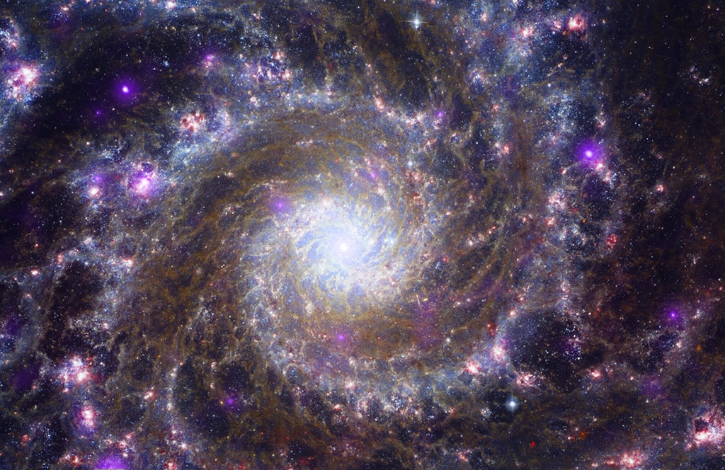 Chandra y Webb, M74