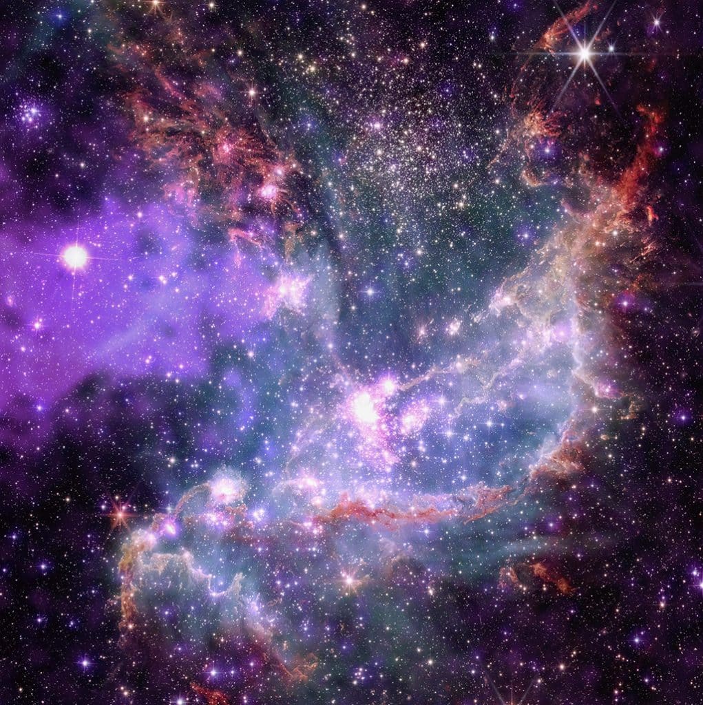 Chandra y Webb, NGC 346