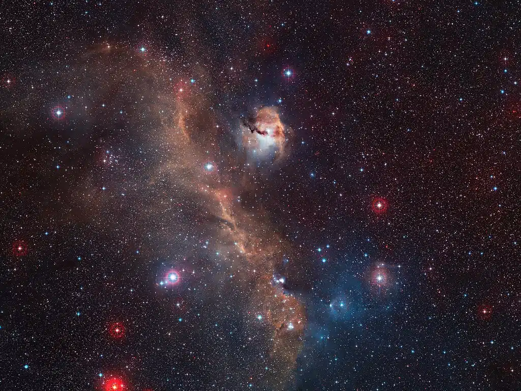 Imagen de IC 2177, nebulosa "La Gaviota", en Can Mayor.