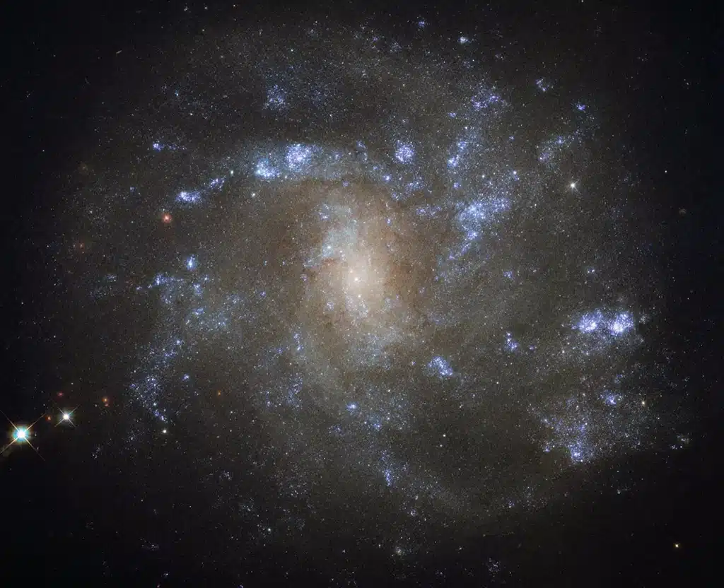 Galaxia NGC 2500.