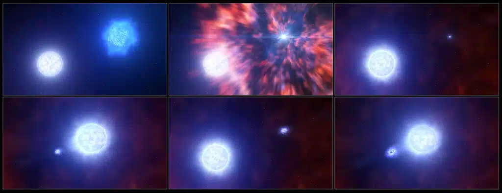 Representación artística que muestra el proceso por el cual una estrella masiva dentro de un sistema binario se convierte en una Supernova. Esta serie de eventos ocurrió en la supernova SN 2022jli y fue revelada a los investigadores mediante observaciones con el VLT y el NTT de la ESO. Después de que una estrella masiva explotara como supernova, dejó atrás un objeto compacto, ya sea una estrella de neutrones o un agujero negro. La estrella compañera sobrevivió a la explosión, pero su atmósfera se volvió más esponjosa. El objeto compacto y su estrella compañera continuaron orbitándose mutuamente, con el objeto compacto sustrayendo regularmente materia de la atmósfera esponjosa de la otra. Esta acreción de materia se observó en los datos de los investigadores como fluctuaciones regulares de brillo, así como movimientos periódicos de gas de hidrógeno.