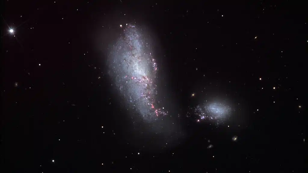 NGC 4490, galaxia "del Capullo".