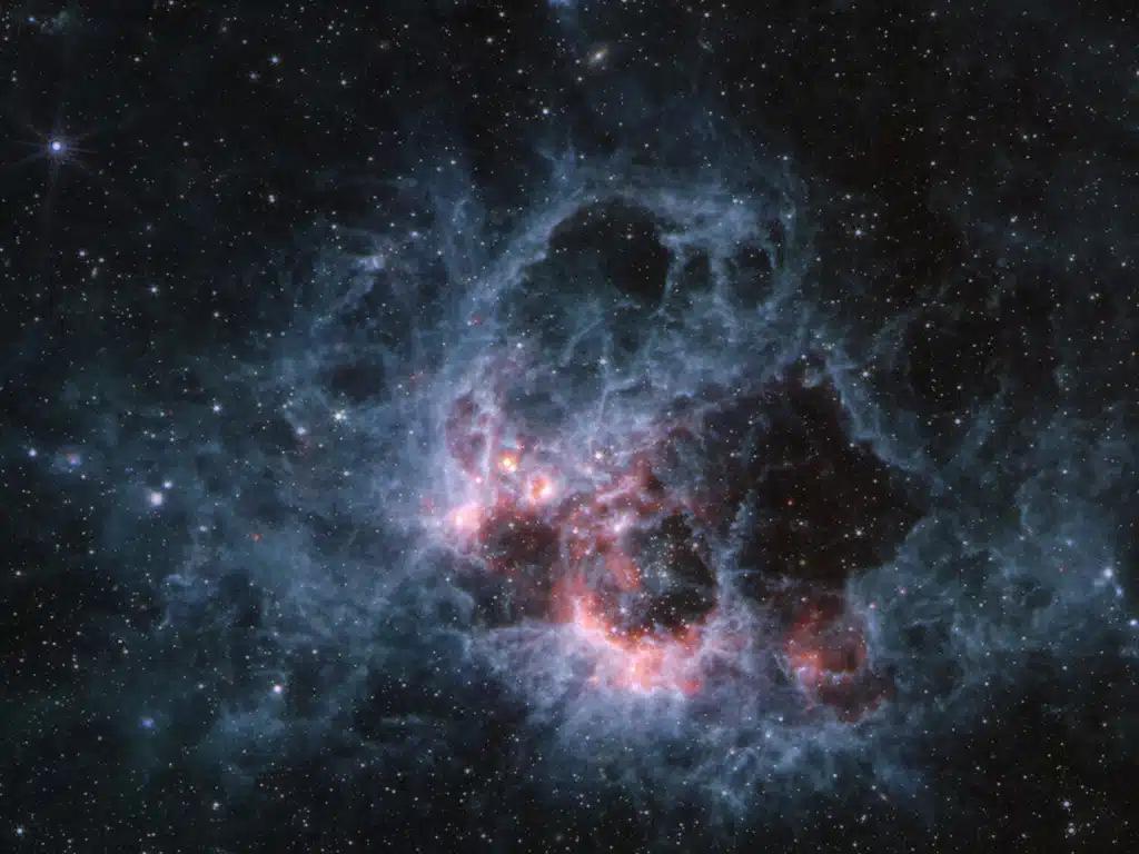 Right Image
