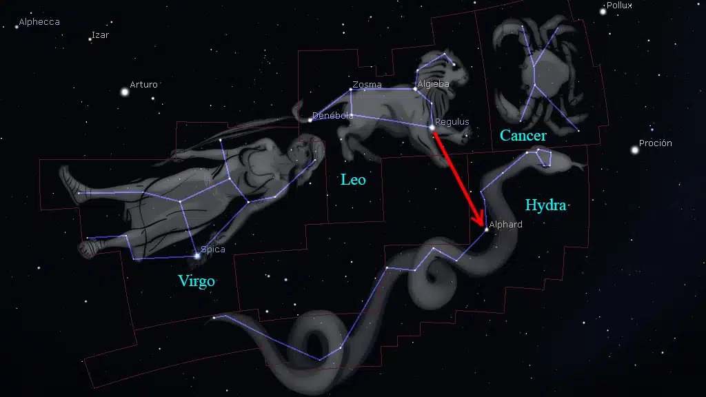 Constelación de Hydra: Hacia el suroeste de Regulus en Leo se encuentra Alphard, la estrella alfa de la constelación de Hydra, la serpiente de agua. Desde esta estrella, hacia el noroeste, se encuentra la cabeza de la serpiente en el límite con Cáncer, mientras que la cola se encuentra al sureste, cerca de Spica en Virgo.