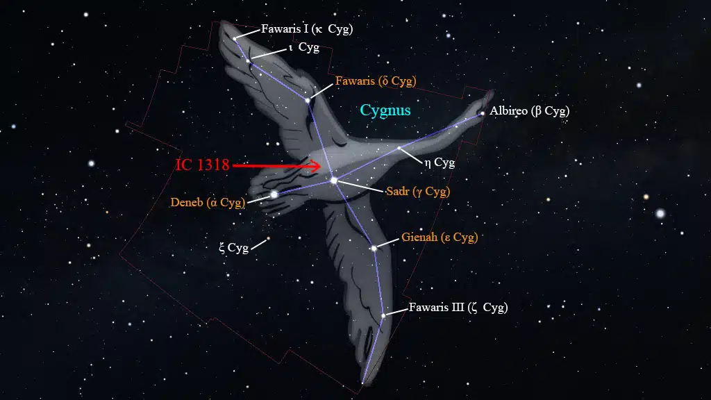 Constelación de Cygnus (Cisne): IC 1318.