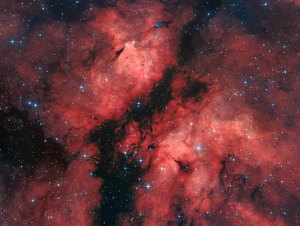 IC 1318, nebulosa de Gamma Cygni o "Mariposa".