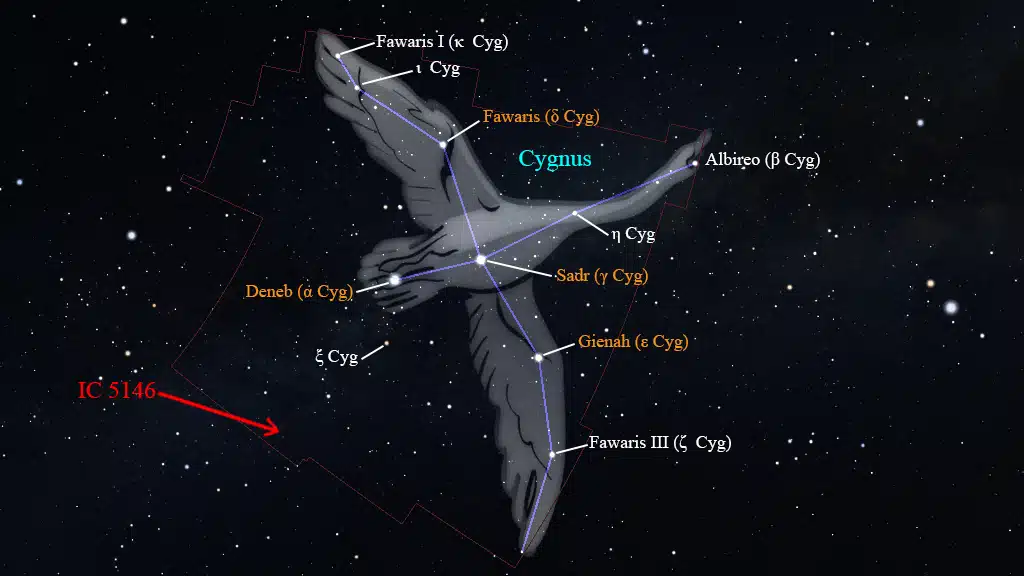 Constelación de Cygnus (Cisne): IC 5146.