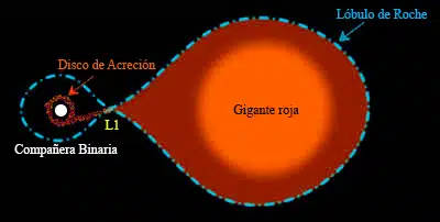 Sistema binario en el que una de las estrellas se ha expandido convirtiéndose en una gigante roja y llenando su lóbulo de Roche. El material de la gigante roja fluirá hacia su compañera binaria, creando un disco de acreción alrededor de ésta. Este desbordamiento del lóbulo de Roche ocurre a través del punto Lagrangiano interno L1, donde la gravedad de las dos estrellas se cancela.