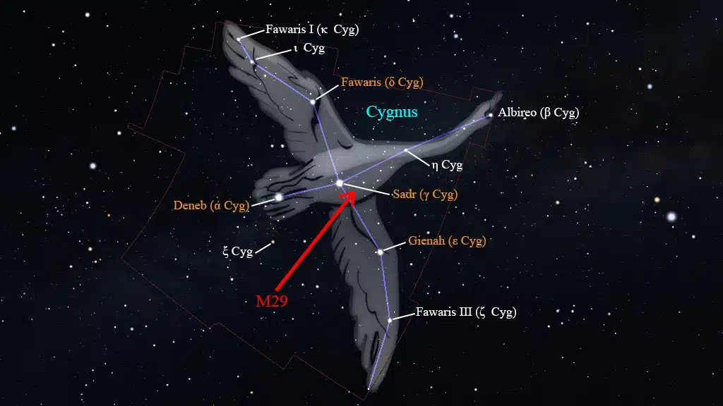 Constelación de Cygnus (Cisne): M29.