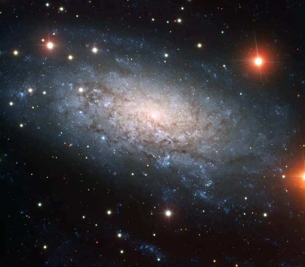 NGC 3621, galaxia "Marco".