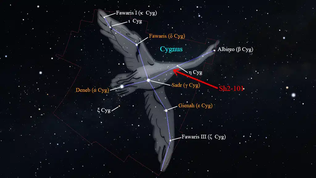 Constelación de Cygnus (Cisne): SH2-101.