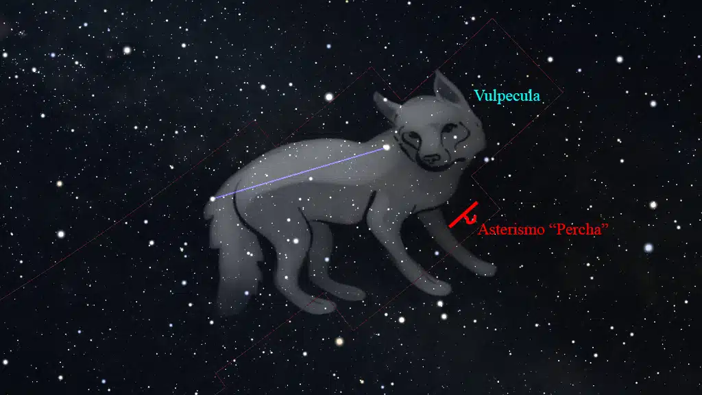 Constelación de Vulpecula (Zorrilla): Asterismo la "Percha".