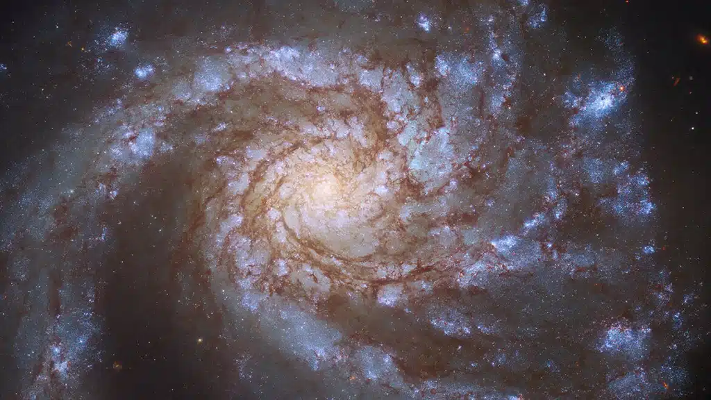Galaxia «Molinillo» (M99).