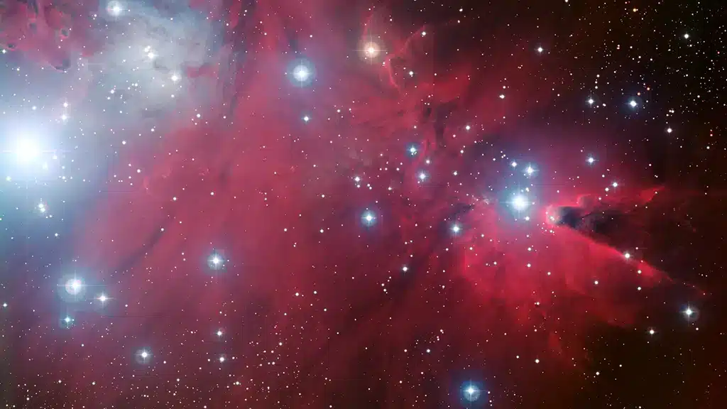 NGC 2264