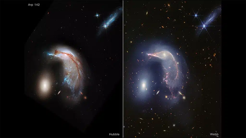 Dos imagenes de Arp 142 (dos galaxias apodadas el Pingüino y el Huevo). A la izquierda, imagen de 2013 del telescopio espacial Hubble de la NASA/ESA. A la derecha, imagen en luz infrarroja cercana del telescopio espacial James Webb de la NASA/ESA/CSA, realizada con el instrumento NIRCam.