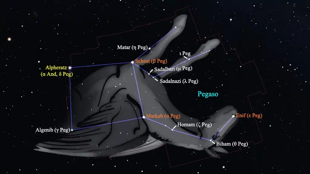 Constelación de Pegaso (Pegasus): Principales estrellas.