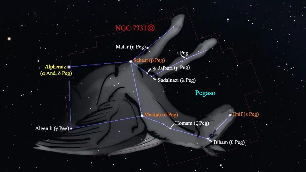 Constelación de Pegaso (Pegasus): NGC 7331.