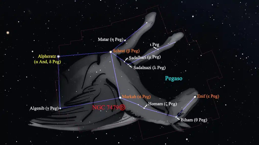 Constelación de Pegaso (Pegasus): NGC 7479.