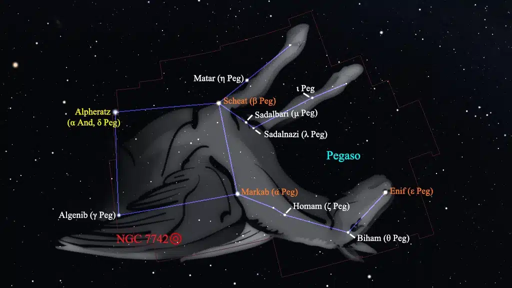 Constelación de Pegaso (Pegasus): NGC 7742.