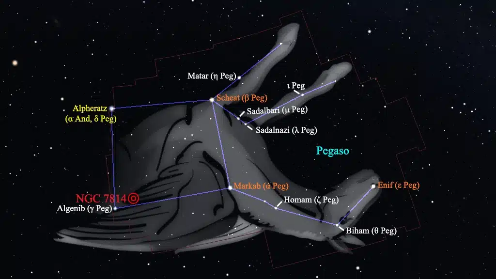 Constelación de Pegaso (Pegasus): NGC 7814.