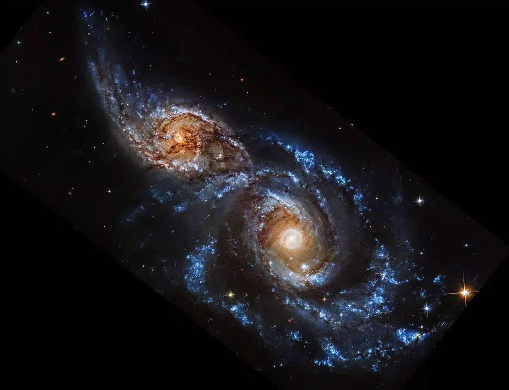 Left Image