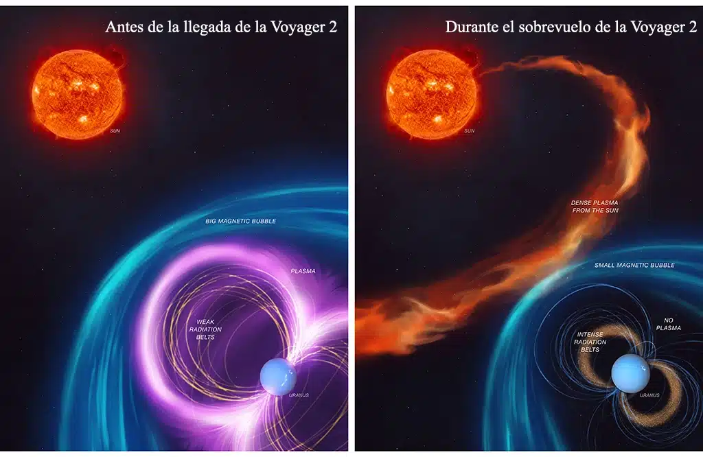 Representación artística que ilustra cómo se comportaba la magnetosfera de Urano antes y durante el sobrevuelo de la Voyager 2. A la izquierda, se observa el comportamiento habitual de la magnetosfera, A la derecha, se muestra cómo un tipo inusual de clima espacial alteró las condiciones durante el sobrevuelo de 1986, dando a los científicos una visión distorsionada de esta. Crédito: NASA/JPL-Caltech.