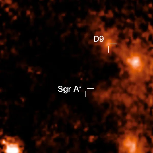 D9 es el primer sistema binario encontrado cerca de Sagitario A*, el agujero negro supermasivo en el centro de la Vía Láctea. Esta imagen muestra una línea de emisión de hidrógeno mapeada por el instrumento SINFONI del Telescopio Muy Grande (VLT) del ESO. El instrumento proporciona un espectro para cada píxel. A lo largo de los años, se observó que la emisión alrededor de D9 oscilaba periódicamente hacia longitudes de onda rojas y azules, lo que reveló que D9 en realidad son dos estrellas orbitándose mutuamente.