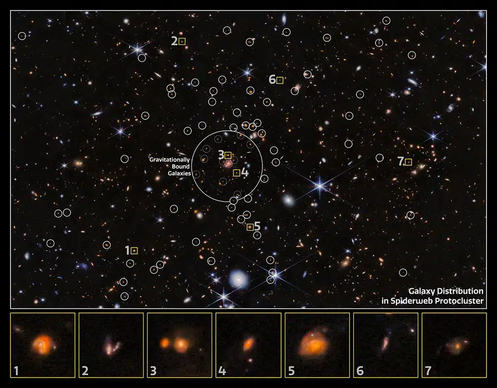 Imagen de la NIRCam (Cámara de Infrarrojo Cercano) del Webb que muestra la distribución de galaxias en el protocúmulo Telaraña. Las galaxias están marcadas con círculos blancos, y en el centro de la imagen se aprecia el conjunto de galaxias ligadas gravitacionalmente. En la parte inferior aparece una selección de imágenes de algunas de estas galaxias.