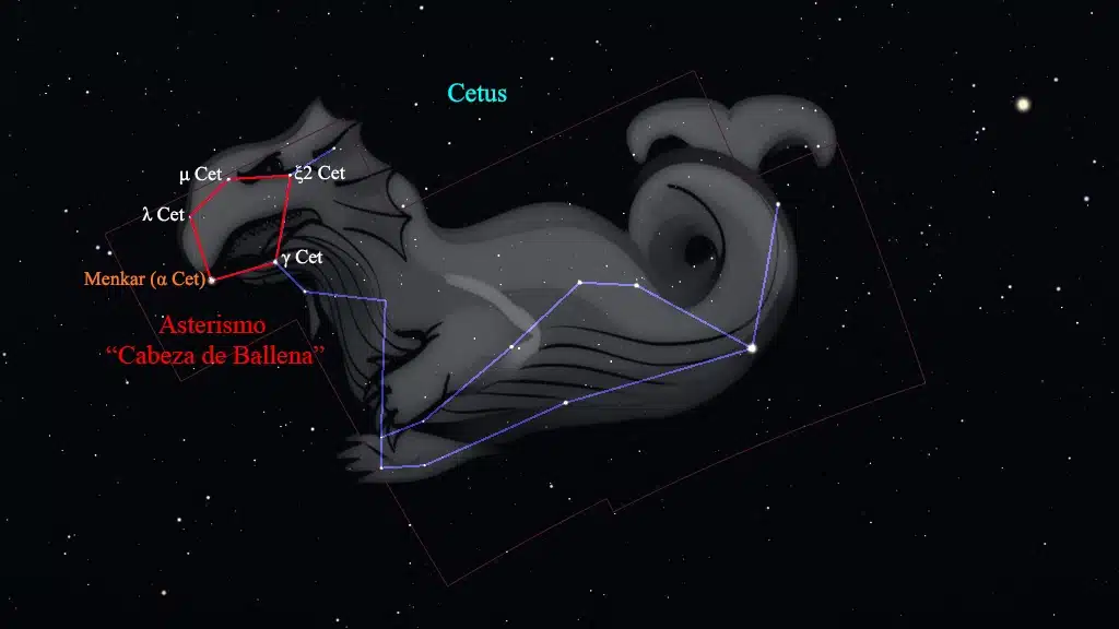 Constelación de Cetus (La Ballena): Asterismo "Cabeza de Ballena".