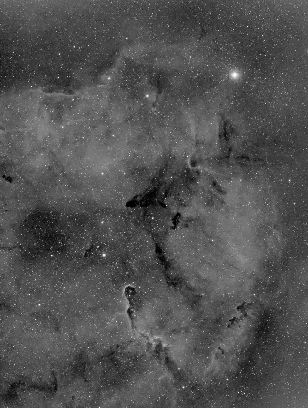 Nebulosa Trompa de Elefante (IC 1396)
