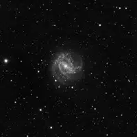 M83