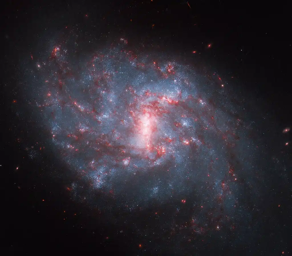 NGC 1087, galaxia. Crédito: NASA Hubble.