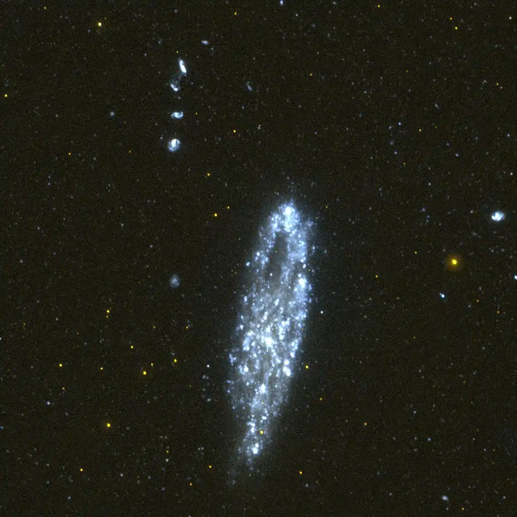 La Galaxia "de la Aguja" (NGC 247) muestra un agujero en su extremo norte conocido como el "Ojo de Aguja" Crédito: NASA/JPL/California Institute of Technology.