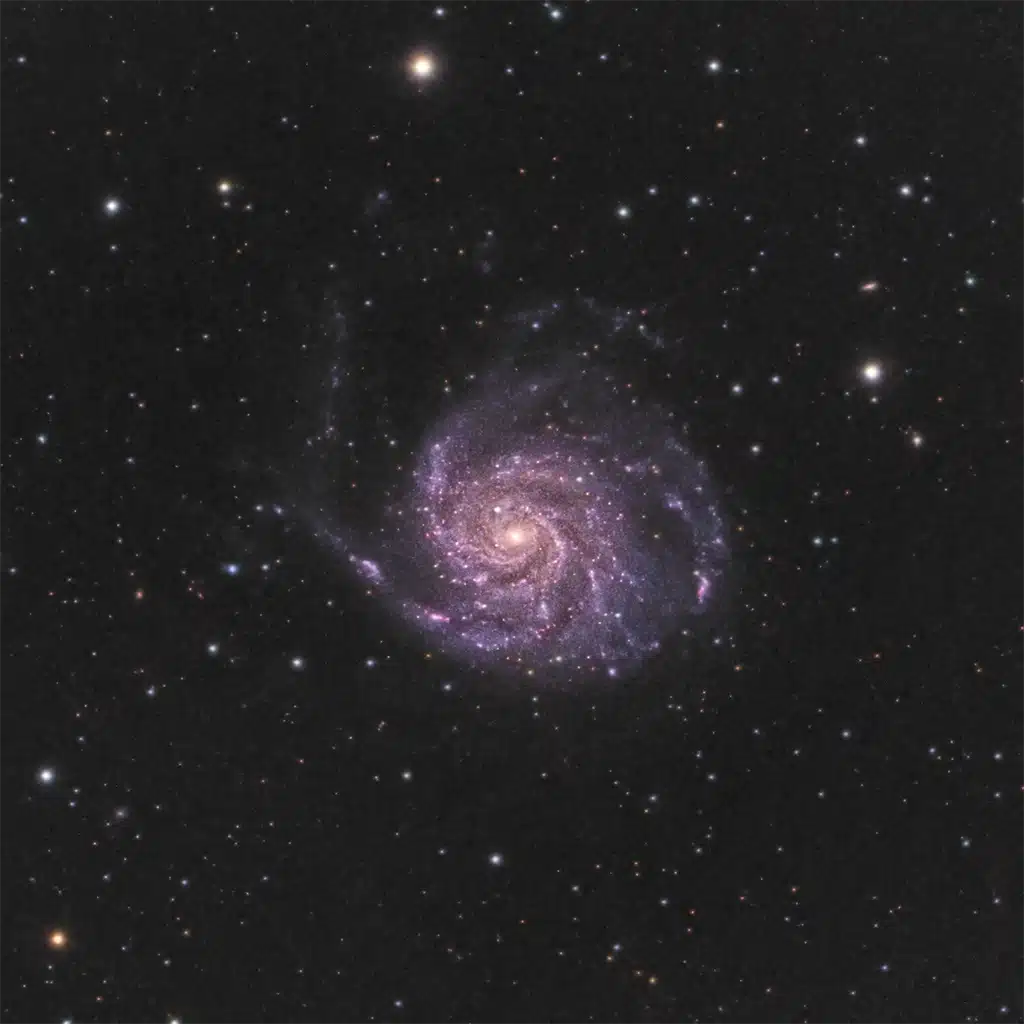 Galaxia del Molinillo (M101)