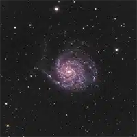 M101