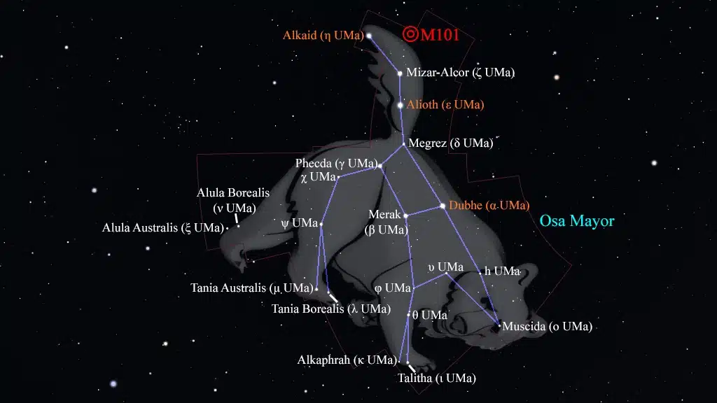 Constelación de la Osa Mayor (Ursa Major): Galaxia "del Molinete" (M101) (NGC 5457).