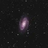 M81
