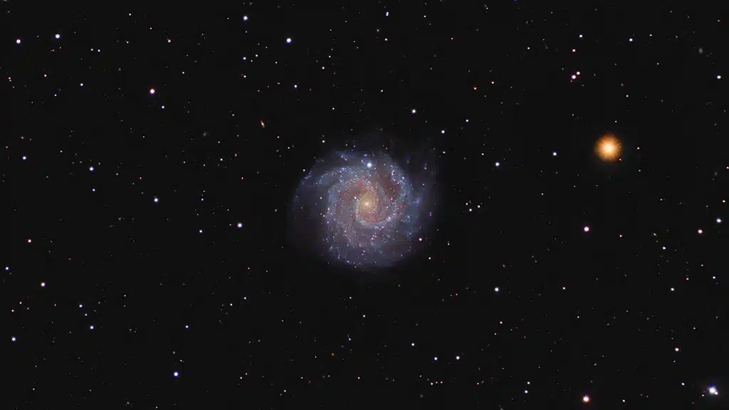 NGC3184, galaxia "Pequeño Molinete". Crédito: Rick Johnson.