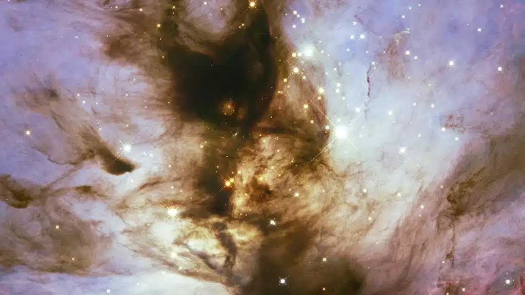 Webb explora enanas marrones en la Nebulosa de la Llama.