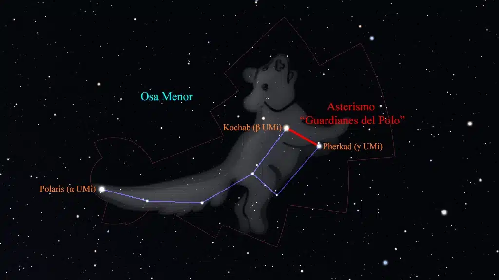 Constelación de la Osa Menor (Ursa Minor): Asterismo "Guardianes del Polo".