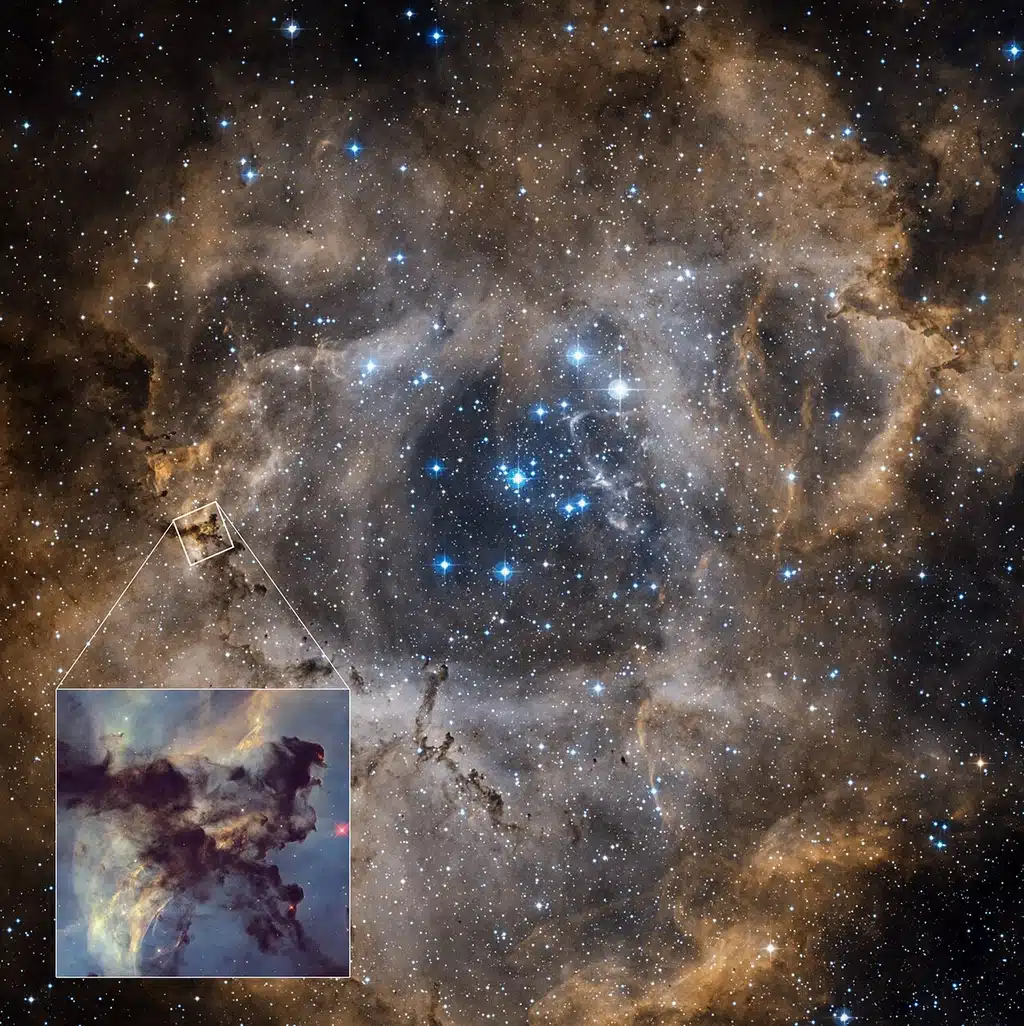 La Nebulosa de la Roseta es una vasta región de formación estelar de 100 años luz de diámetro, situada en uno de los extremos de una gigantesca nube molecular en la constelación de Monoceros. Se estima que la nebulosa contiene alrededor de 10.000 masas solares. Se encuentra aproximadamente a 5.000 años luz de la Tierra. La intensa radiación de las estrellas jóvenes dentro de un cúmulo en la nebulosa hace que los gases brillen. La imagen de fondo proviene del Digitized Sky Survey, mientras que el recuadro muestra una pequeña porción de la nebulosa fotografiada por el Telescopio Espacial Hubble. Nubes oscuras de gas de hidrógeno mezcladas con polvo se recortan en silueta a lo largo de la imagen. Los colores provienen de la presencia de hidrógeno, oxígeno y nitrógeno.