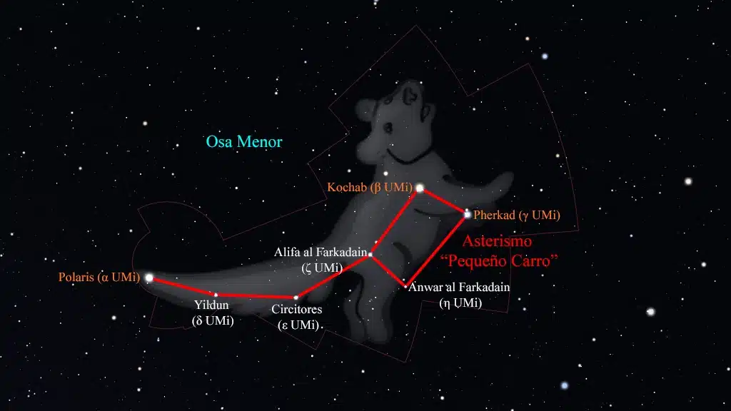 Constelación de la Osa Menor (Ursa Minor): Asterismo "Pequeño Carro".