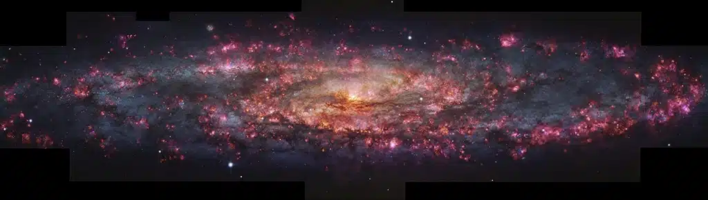 Imagen detallada en mil colores de la Galaxia del Escultor, captada con el instrumento MUSE del Very Large Telescope (VLT) del ESO. Las regiones de luz rosada provienen del hidrógeno ionizado en zonas de formación estelar. Estas áreas se han superpuesto a un mapa de estrellas ya formadas en la Galaxia del Escultor para crear la mezcla de tonos rosados y azulados que se observa aquí.