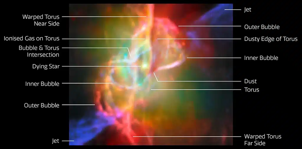 Esta imagen, que combina datos de Webb en el infrarrojo medio con observaciones de ALMA en radiofrecuencia, muestra la nube toroidal con forma de donut y las burbujas interconectadas de gas polvoriento que rodean la estrella central de la nebulosa. El toroide está orientado verticalmente y casi de canto desde nuestra perspectiva, e intersecta con burbujas de gas que envuelven a la estrella. Las burbujas aparecen de un brillante color rojo en esta imagen, iluminadas por la luz procedente del gas de helio y neón. Fuera de las burbujas, chorros identificados por su emisión de hierro ionizado se proyectan en direcciones opuestas.