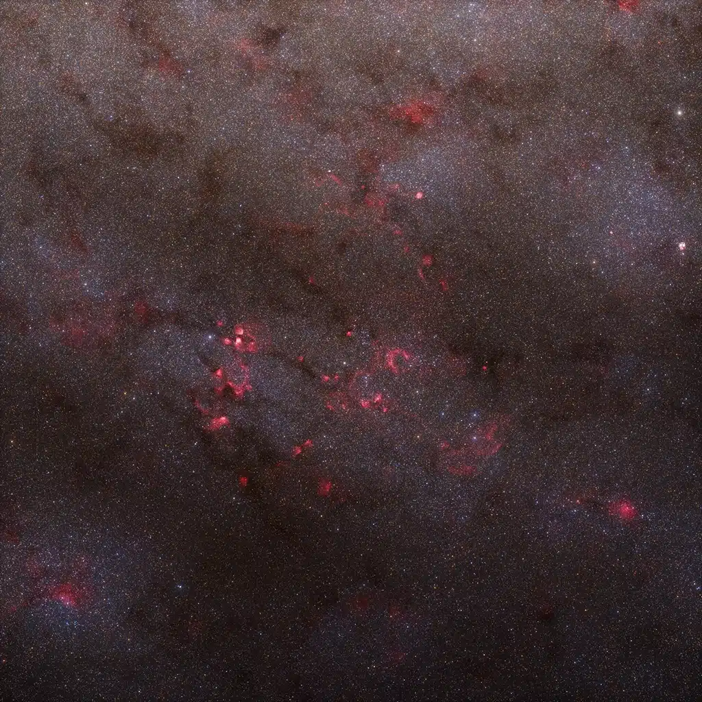 Right Image