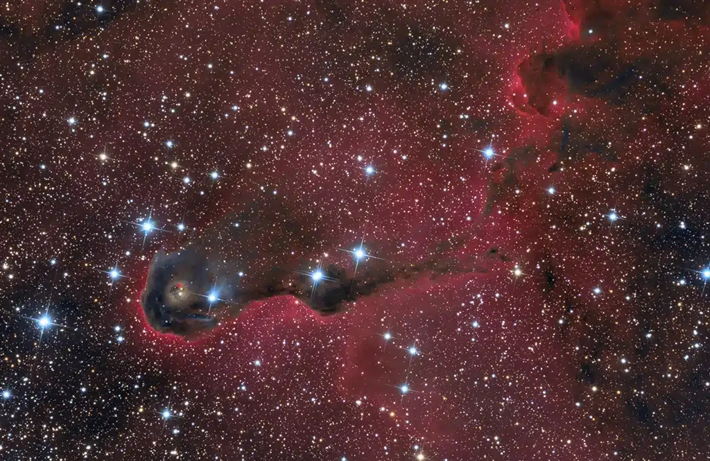 vdB 142, Nebulosa "Trompa de Elefante". Crédito: Stephen Leshin.