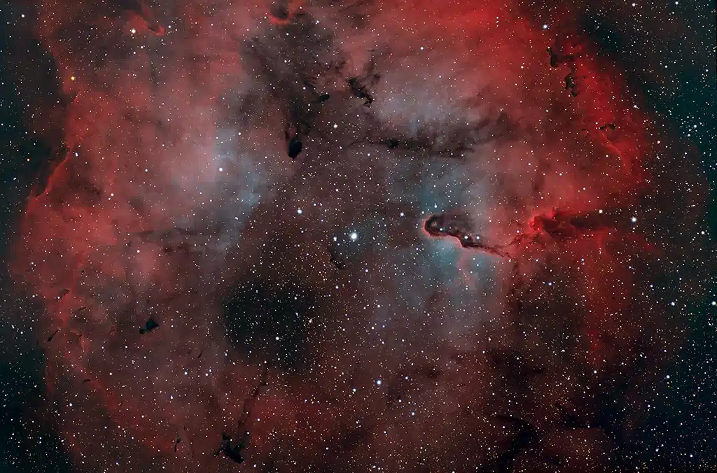 IC 1396, nebulosa. Crédito: Gregg's Astronomy & Astrophotography.