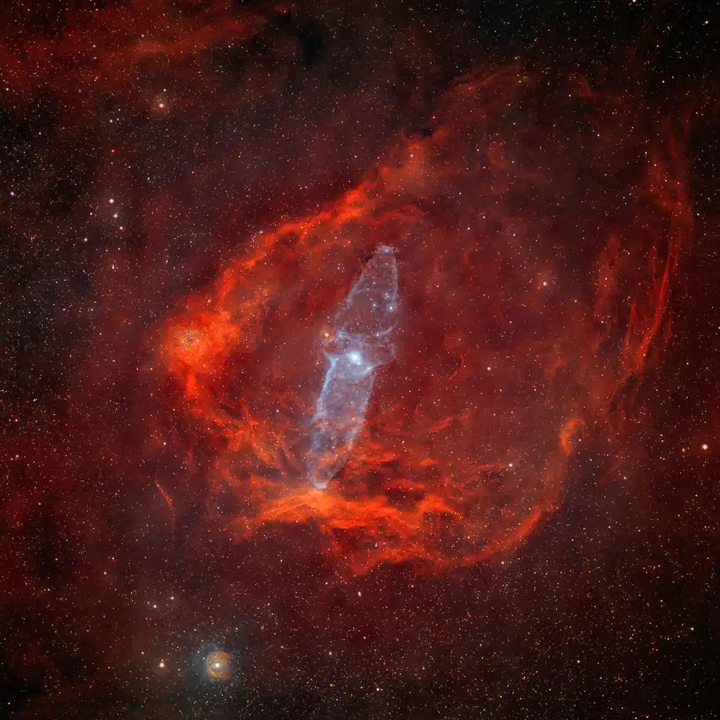 Sh2-129, nebulosa "Murciélago Volador" y Ou4, nebulosa "Calamar Gigante". Crédito: Rolf Geissinger.